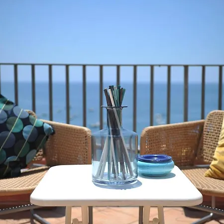 Panoramic مايوري