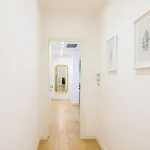 Panoramic マイオーリ