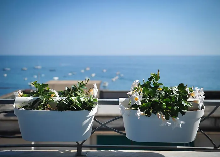 Panoramic Майори